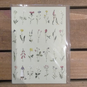 Greetings card - wild flowers