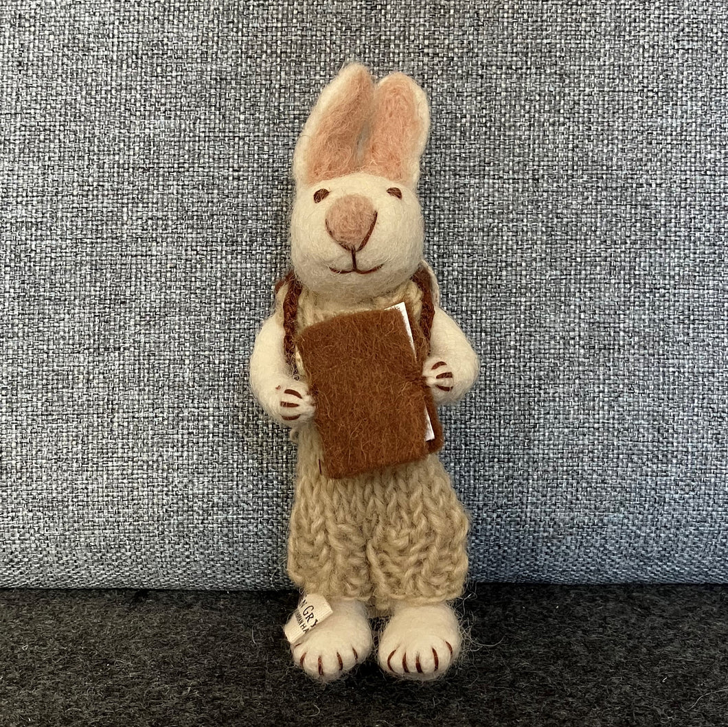 White bunny with green trousers & book