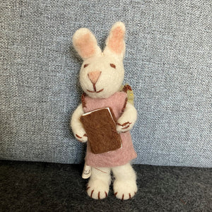 White bunny with green trousers & book