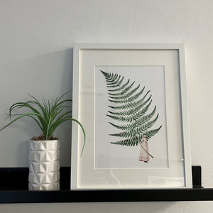 Fabulous ferns 3 unframed print