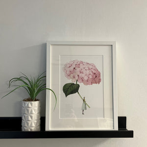 Pink hydrangea unframed mounted print