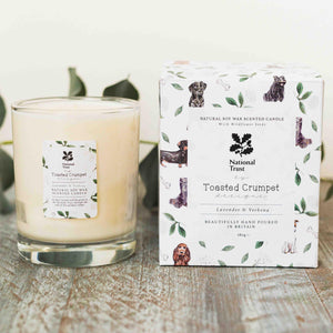 Lavender & verbena glass candle & seed packet