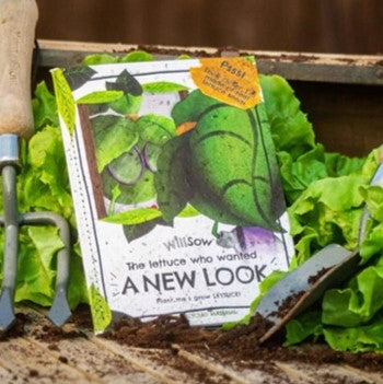 Plantable book - the lettuce who wanted a new look