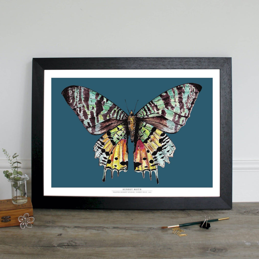 Madagascan Sunset Moth - digital print
