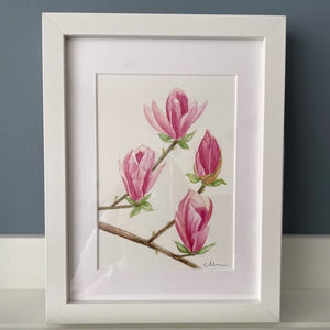 Magnolia in bloom original watercolour framed painting