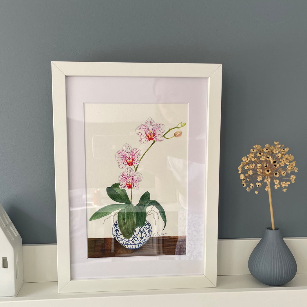 Orchid blooms original watercolour framed painting