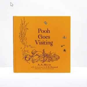 Pooh goes visiting book