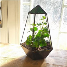 Load image into Gallery viewer, The Thomas - handmade stained glass terrarium
