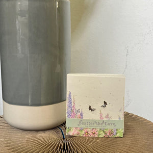 Boxed earrings card - meadow plantable seeds
