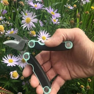 Folding secateurs in a tin