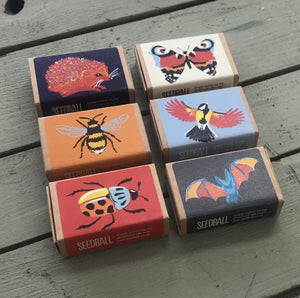 Wildlife collection gift seed boxes
