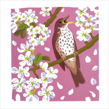 This lovely card of a song thrush by Carry Akroyd is ideal for any occasion.