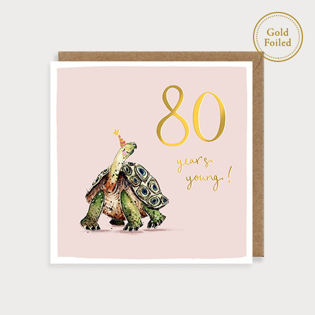 Tortoise 80th birthday card