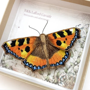 Handmade tortoiseshell butterfly brooch