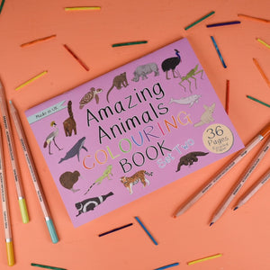 Amazing animals colouring book - set 2