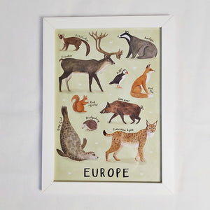 Europe A3 framed print