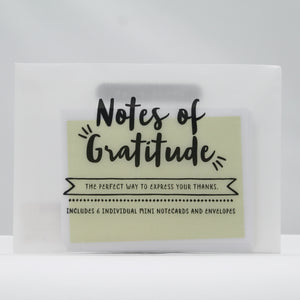 Little notes of gratitude notecard set