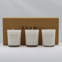 Load image into Gallery viewer, Grow candle trio
