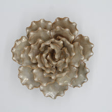 Load image into Gallery viewer, Coral 6 - small - rose grey
