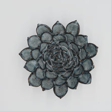 Load image into Gallery viewer, Ceramic succulent blue grey - large
