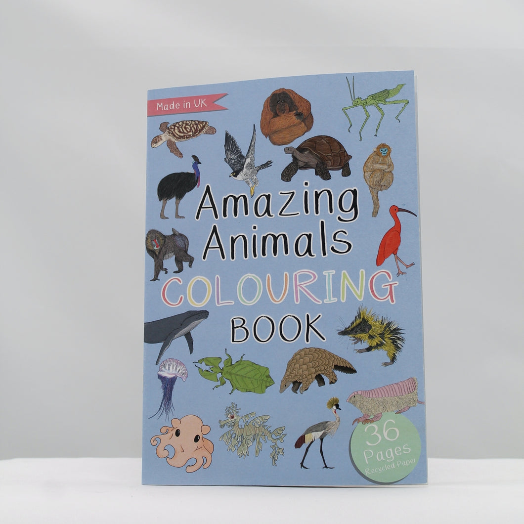 Amazing animals colouring book