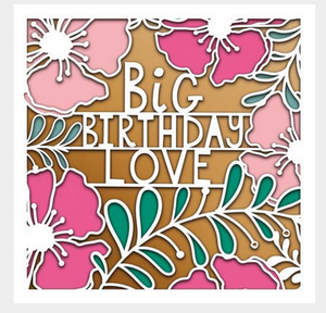 Big birthday love card