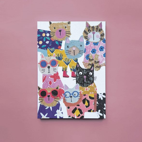 Cats notebook