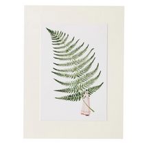 Load image into Gallery viewer, Fabulous ferns 3 unframed print
