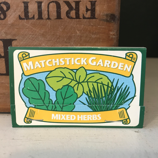 Matchstick garden - mixed herbs