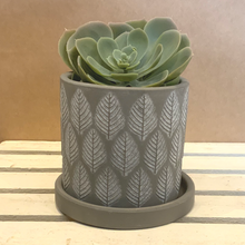 Load image into Gallery viewer, Balter pot (with drainage) - grey leaves
