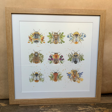 Load image into Gallery viewer, The British Collection - bee framed print
